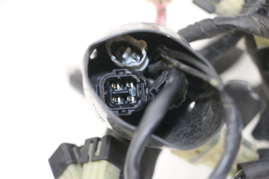 photo de KABELBAUM YAMAHA XJ6 ABS 600 (2008 - 2016)