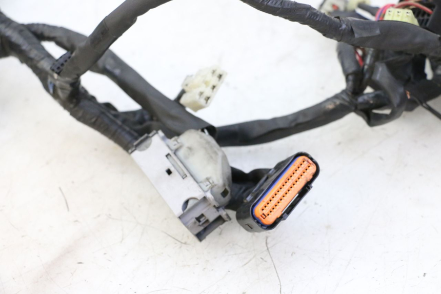 photo de KABELBAUM YAMAHA XJ6 ABS 600 (2008 - 2016)