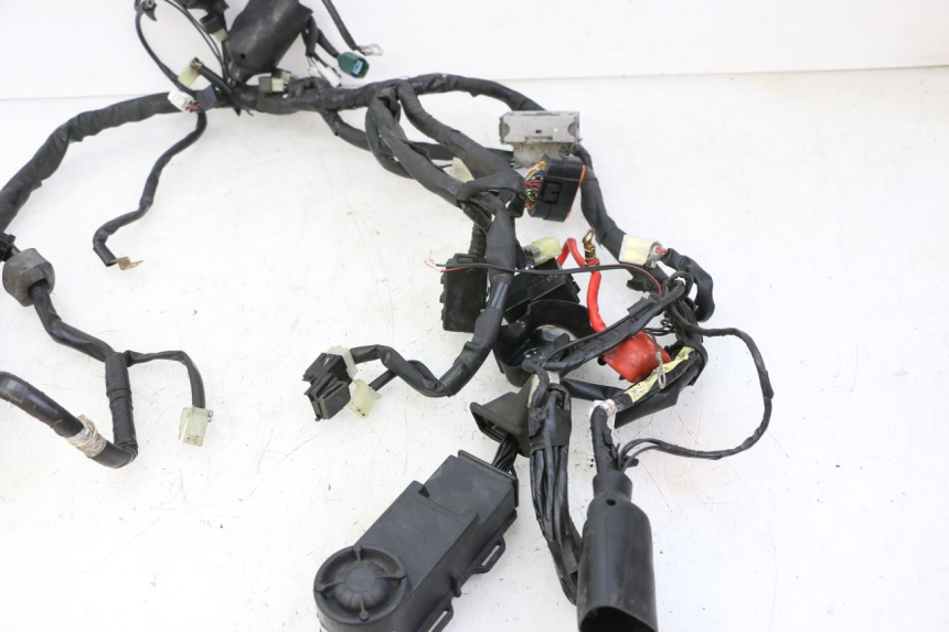 photo de KABELBAUM YAMAHA XJ6 ABS 600 (2008 - 2016)