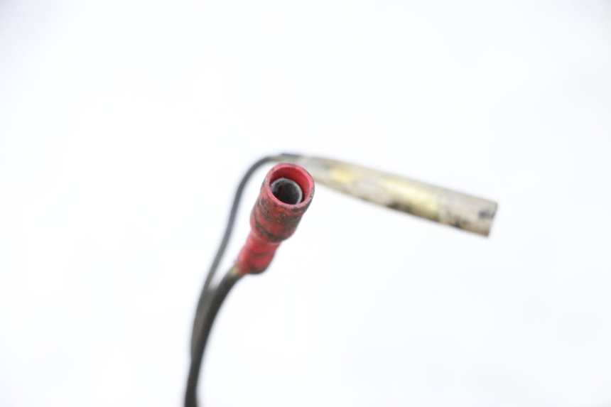 photo de KABELBAUM YAMAHA XJN DIVERSION 600 (2000 - 2003)