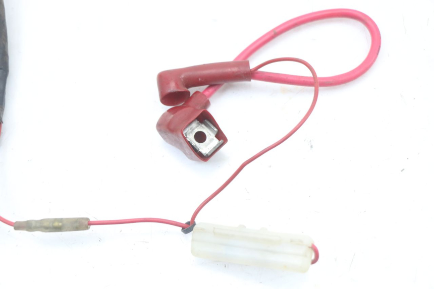 photo de Kabelbaum HYOSUNG XRX 125 (2000 - 2008)