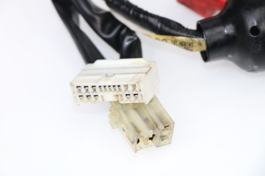 photo de KABELBAUM YAMAHA XJ6 ABS 600 (2008 - 2016)