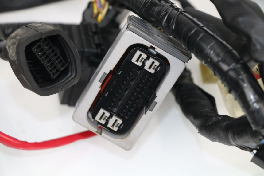 photo de KABELBAUM YAMAHA XJ6 ABS 600 (2008 - 2016)