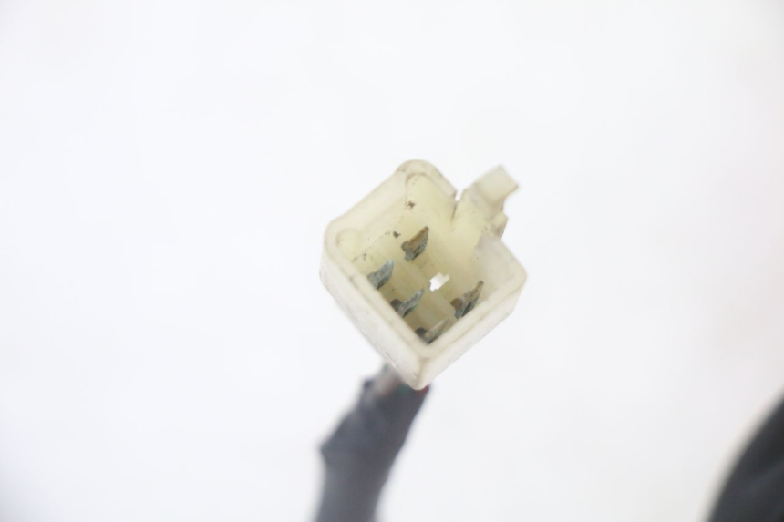 photo de RÜCKLICHT SYM CROX 4T 50 (2016 - 2023)