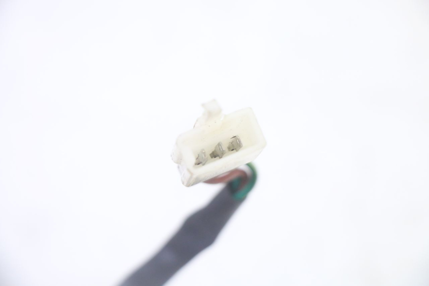 photo de RÜCKLICHT STAHO FH 50 (2018 - 2019)