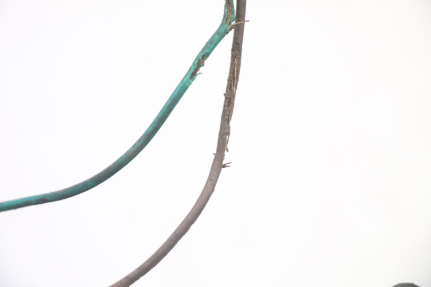 photo de RÜCKLICHT KYMCO GRAND DINK 125 (2008 - 2014) - Hochauflösende Nahaufnahme