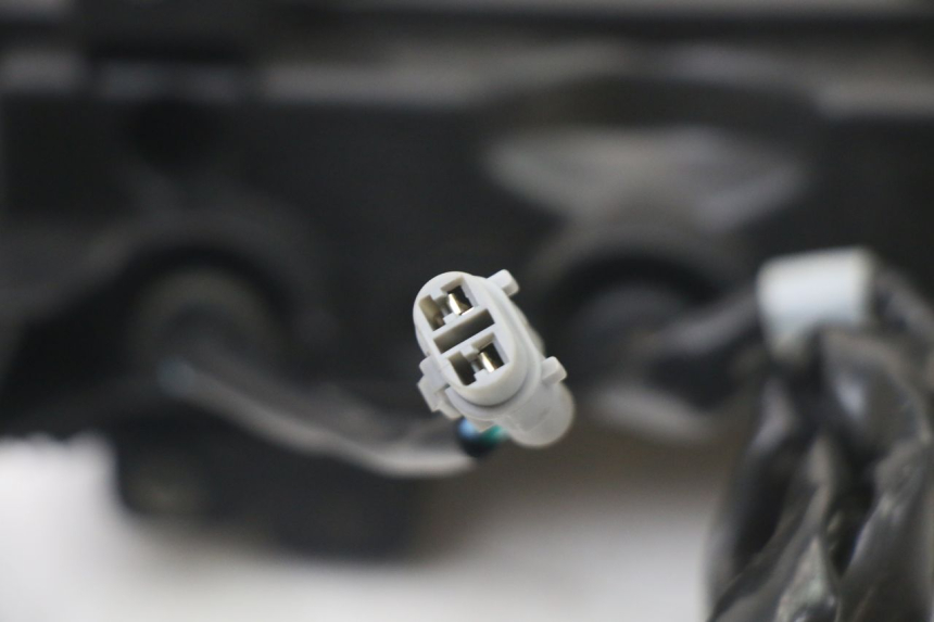 photo de RÜCKLICHT PEUGEOT TWEET 4T 50 (2023 - 2025)