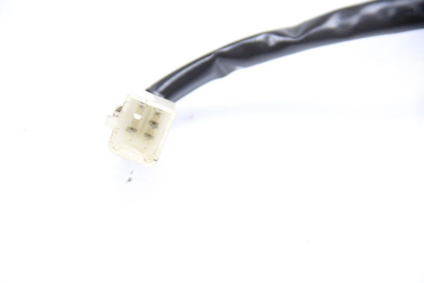 photo de RÜCKLICHT TNT MOTOR ROMA 12' 2T 50 (2007 - 2018)