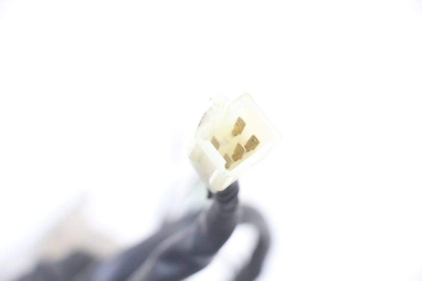 photo de RÜCKLICHT SYM ORBIT 2 4T 50 (2008 - 2017)