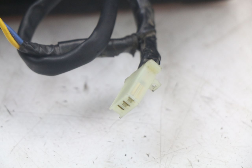 photo de RüCKLICHT YAMAHA TDM ABS 900 (2002 - 2014)