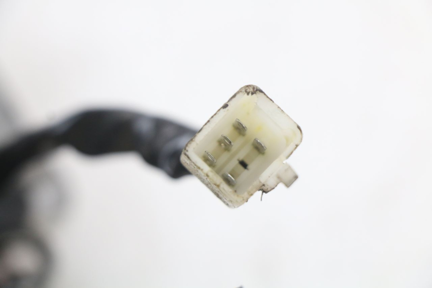 photo de RÜCKLICHT TNT MOTOR ROMA 10' 2T 50 (2011 - 2018)