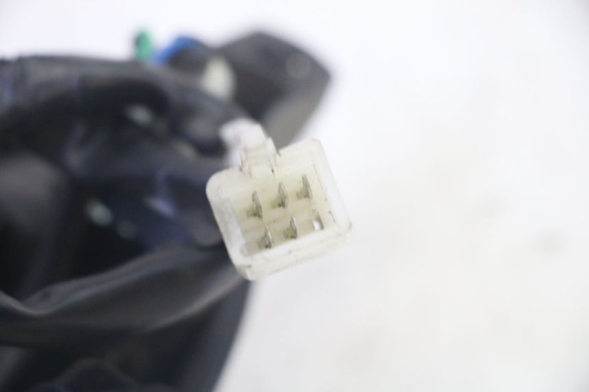 photo de RÜCKLICHT PEUGEOT TWEET PRO EFI 4T 50 (2021 - 2022)