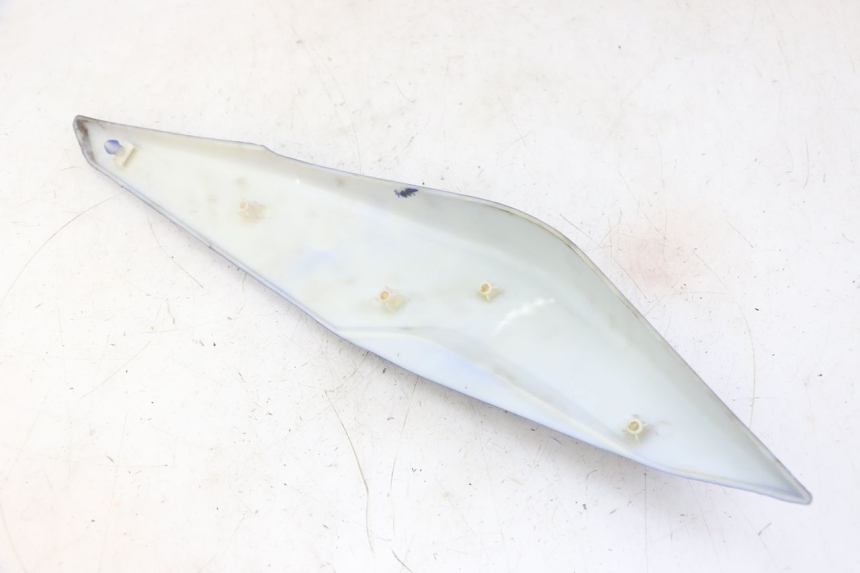 photo de VERKLEIDUNG HINTEN RECHTS STAHO FH 50 (2018 - 2019)