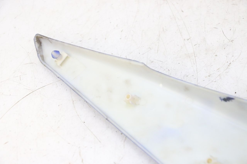 photo de VERKLEIDUNG HINTEN RECHTS STAHO FH 50 (2018 - 2019)