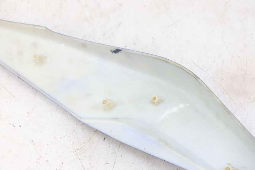 photo de VERKLEIDUNG HINTEN RECHTS STAHO FH 50 (2018 - 2019)