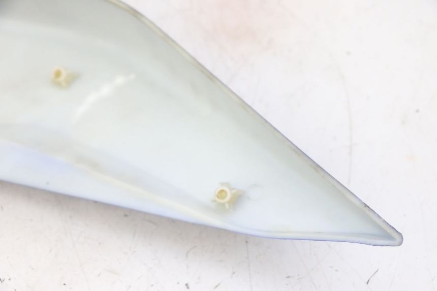 photo de VERKLEIDUNG HINTEN RECHTS STAHO FH 50 (2018 - 2019)