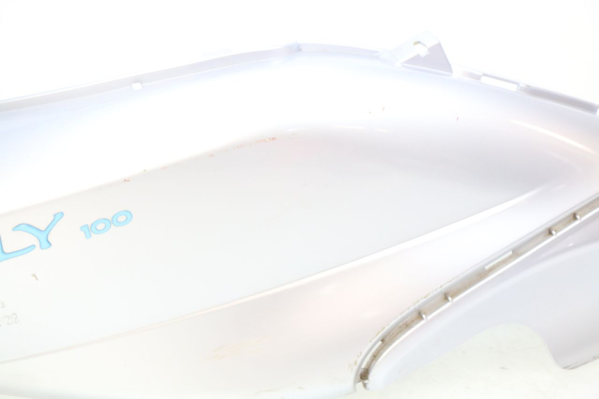 photo de RECHTER HINTERER KOTFLÜGEL PIAGGIO FLY 100 (2006 - 2010)