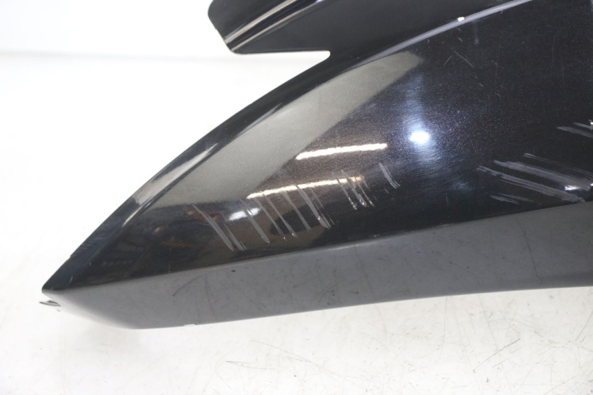 photo de VERKLEIDUNG HINTEN RECHTS PEUGEOT GEOPOLIS RS 125 (2007 - 2009)