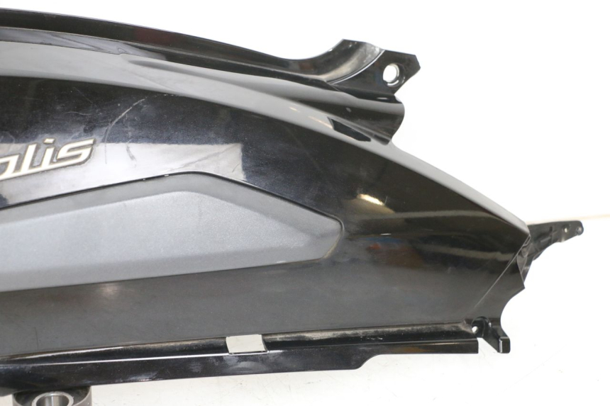 photo de VERKLEIDUNG HINTEN RECHTS PEUGEOT GEOPOLIS RS 125 (2007 - 2009)