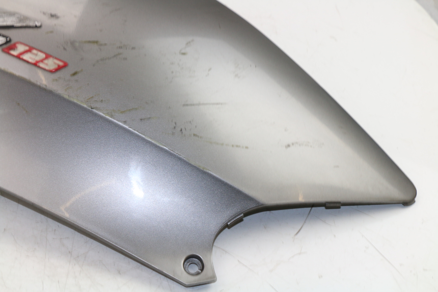 photo de VERKLEIDUNG HINTEN RECHTS KYMCO GRAND DINK 125 (2002 - 2007)