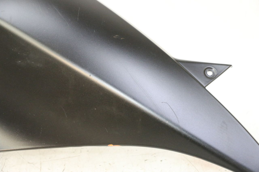 photo de VERKLEIDUNG HINTEN RECHTS PIAGGIO MP3 HPE 310 (2024 - 2025)