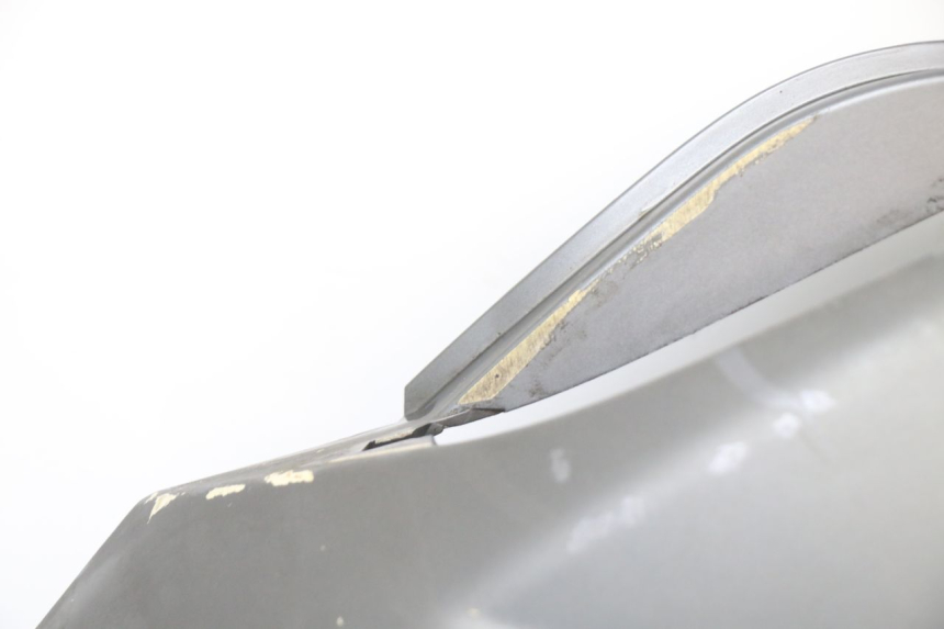 photo de VERKLEIDUNG HINTEN RECHTS PEUGEOT SATELIS 125 (2013 - 2018)