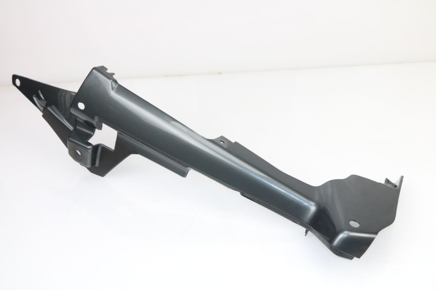 photo de VERKLEIDUNG HINTEN RECHTS BMW R RT ABS 1150 (2000 - 2004)