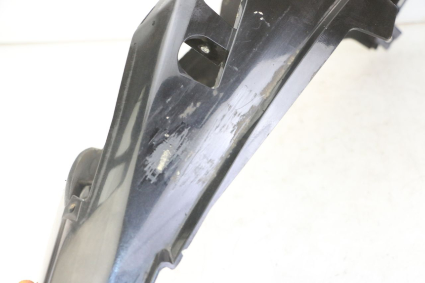 photo de VERKLEIDUNG HINTEN RECHTS PEUGEOT SATELIS COMPRESSOR K15 125 (2006 - 2009)