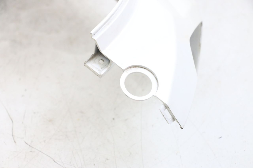 photo de VERKLEIDUNG HINTEN RECHTS PEUGEOT TWEET PRO EFI 4T 50 (2021 - 2022)