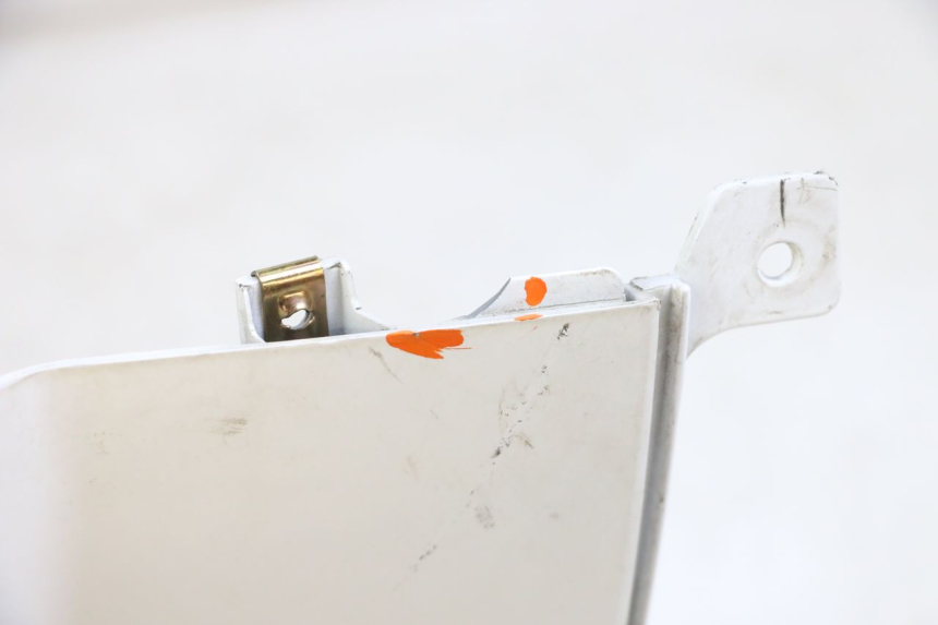 photo de VERKLEIDUNG HINTEN RECHTS PEUGEOT TWEET PRO EFI 4T 50 (2021 - 2022)