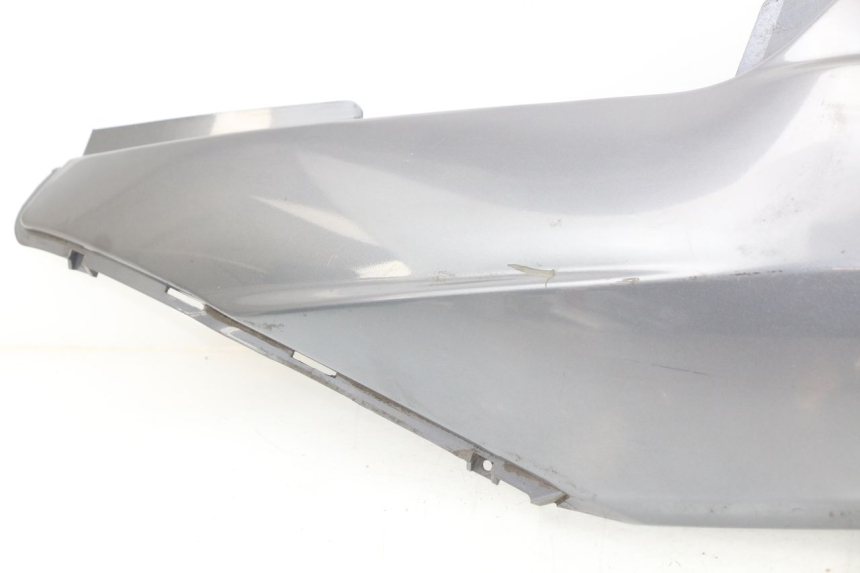 photo de VERKLEIDUNG HINTEN LINKS DAELIM S2 125 (2006 - 2007)