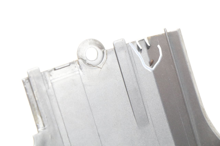 photo de VERKLEIDUNG HINTEN LINKS DAELIM S2 125 (2006 - 2007)