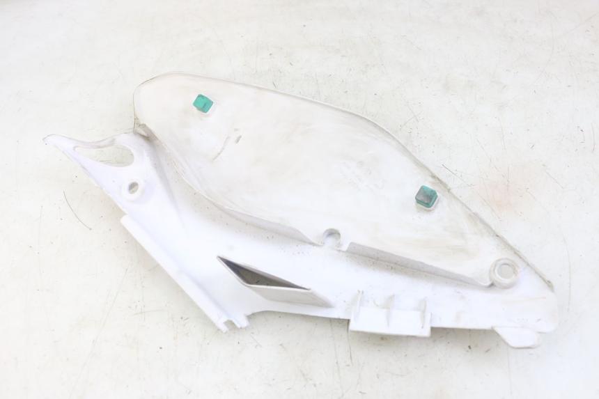 photo de VERKLEIDUNG HINTEN LINKS VENT DERAPAGE 50 (2018 - 2023)