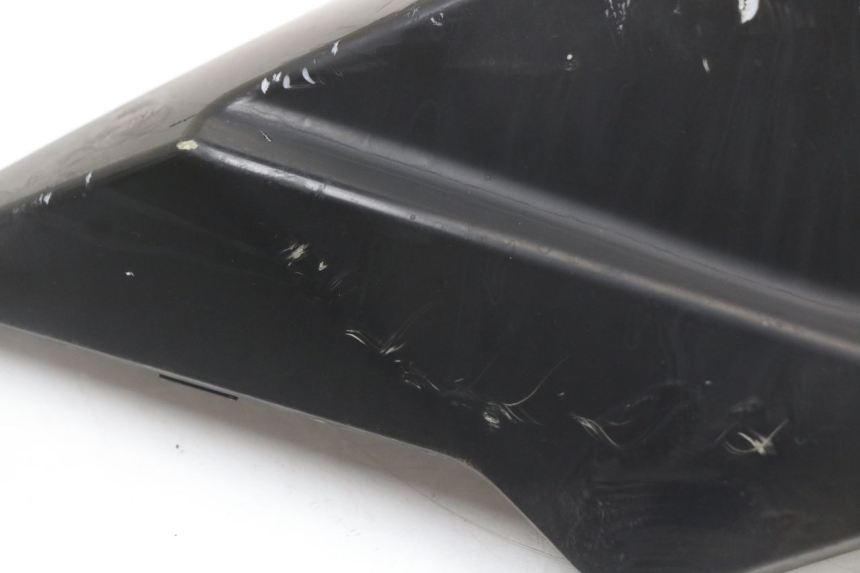 photo de VERKLEIDUNG HINTEN LINKS LONGJIA EASY MAX 125 (2020 - 2024)