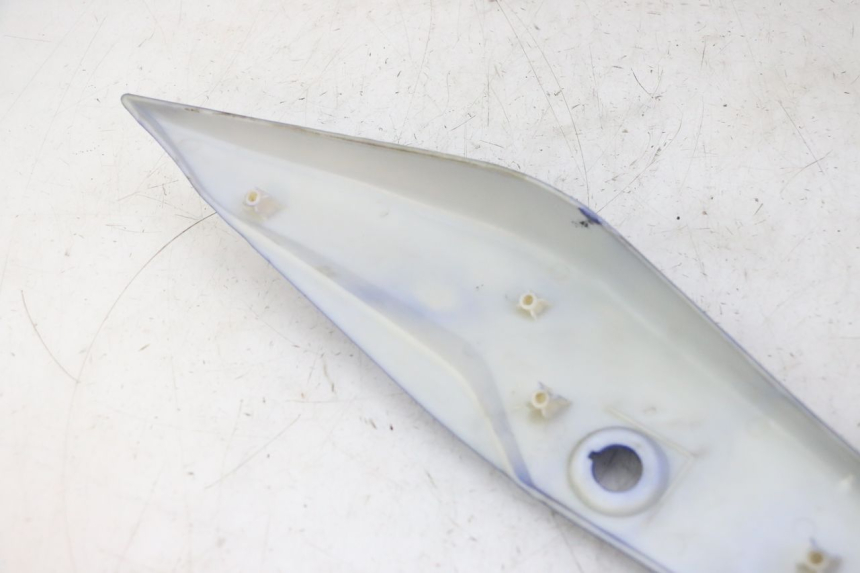 photo de VERKLEIDUNG HINTEN LINKS STAHO FH 50 (2018 - 2019)