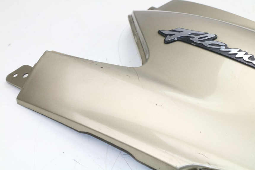 photo de VERKLEIDUNG HINTEN LINKS MBK FLAME 125 (2000 - 2004)