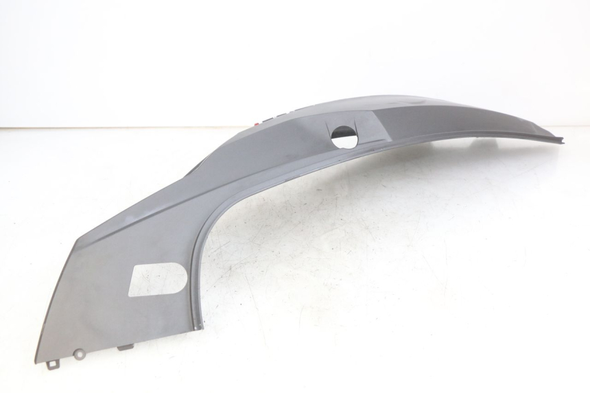 photo de LINKES HINTERES SEITENTEIL SYM GTS EFI 125 (2012 - 2016)