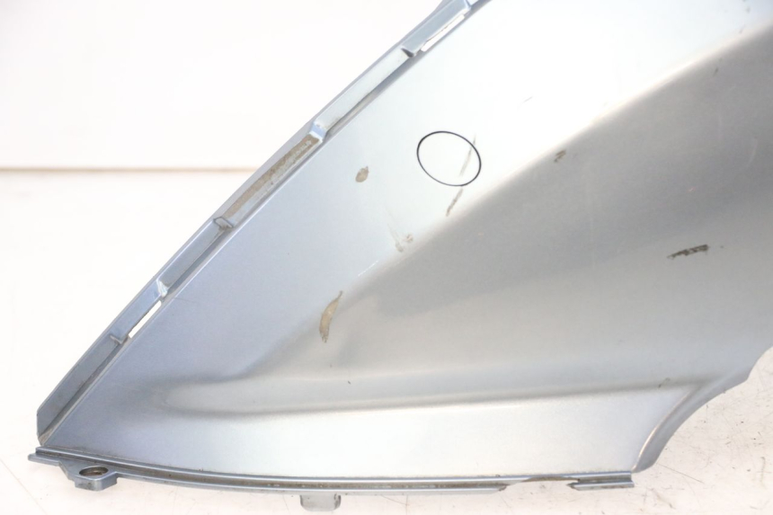 photo de VERKLEIDUNG HINTEN LINKS DAELIM HISTORY 125 (2001 - 2002)