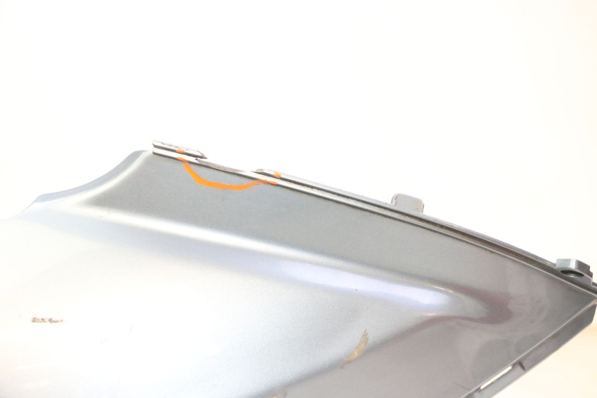 photo de VERKLEIDUNG HINTEN LINKS DAELIM HISTORY 125 (2001 - 2002)