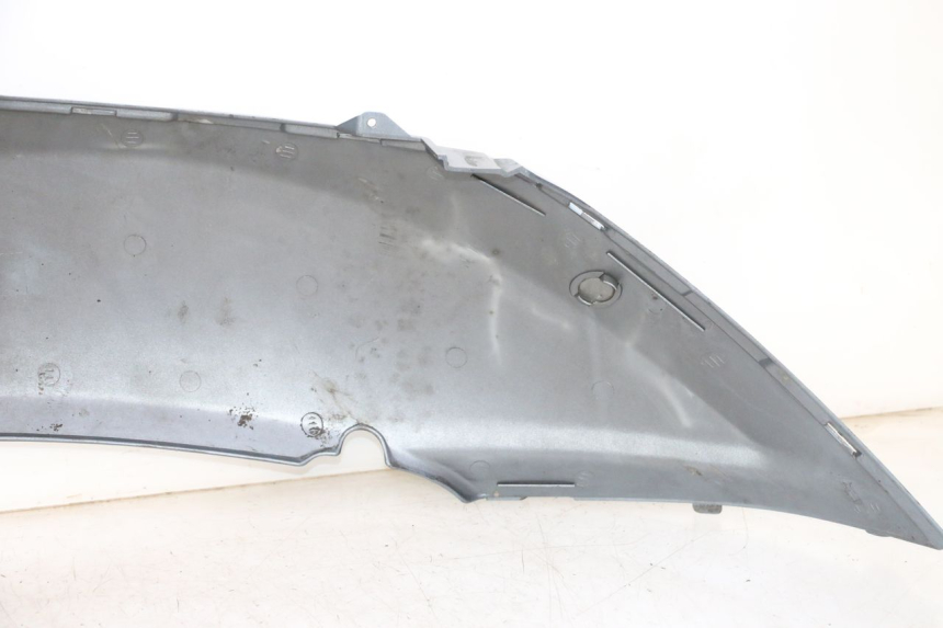 photo de VERKLEIDUNG HINTEN LINKS DAELIM HISTORY 125 (2001 - 2002)