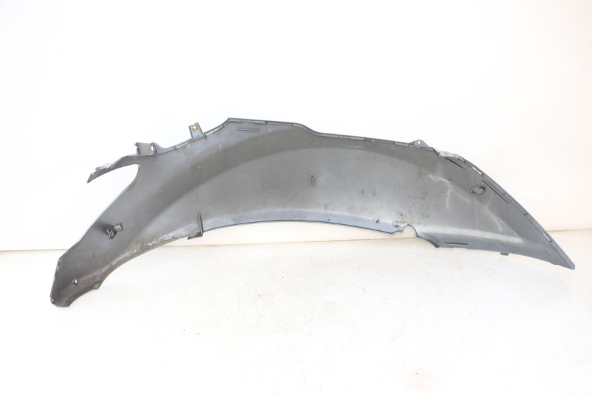 photo de VERKLEIDUNG HINTEN LINKS DAELIM HISTORY 125 (2001 - 2002)