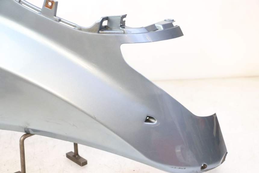 photo de VERKLEIDUNG HINTEN LINKS DAELIM HISTORY 125 (2001 - 2002)