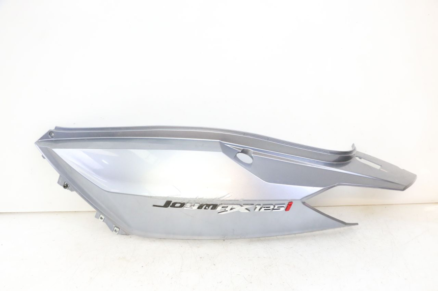 photo de VERKLEIDUNG HINTEN LINKS SYM JOYMAX 125 (2010 - 2017)
