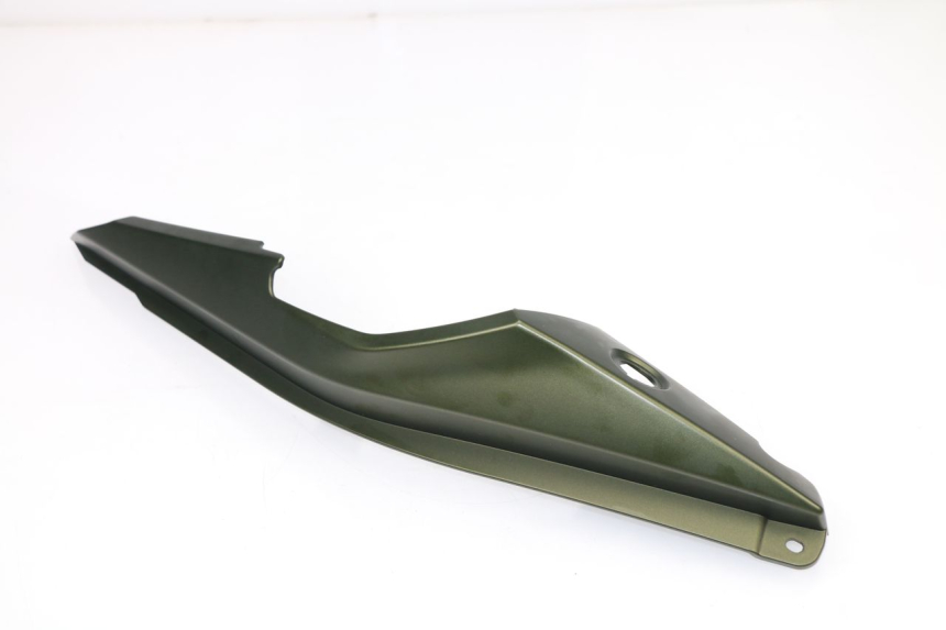 photo de LINKS HINTEN KAWASAKI VERSYS ABS 650 (2015 - 2018)