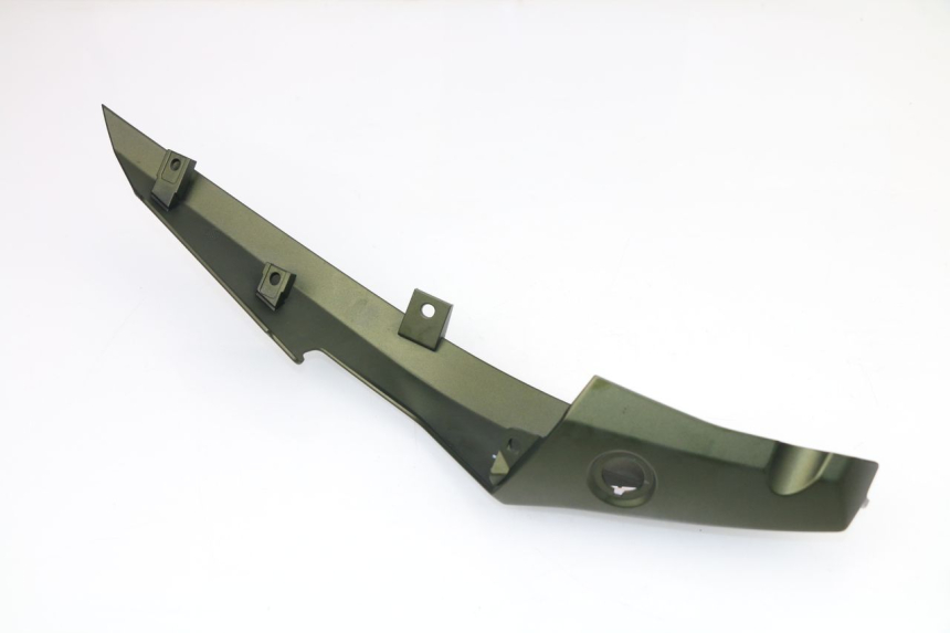 photo de LINKS HINTEN KAWASAKI VERSYS ABS 650 (2015 - 2018)