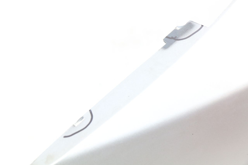 photo de LINKES HINTERES SEITENTEIL PIAGGIO MP3 500 (2014 - 2016)