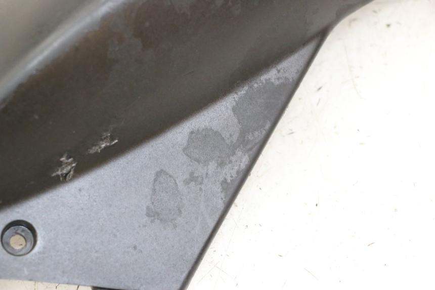 photo de VERKLEIDUNG HINTEN LINKS PEUGEOT LUDIX 50 (2008 - 2017)