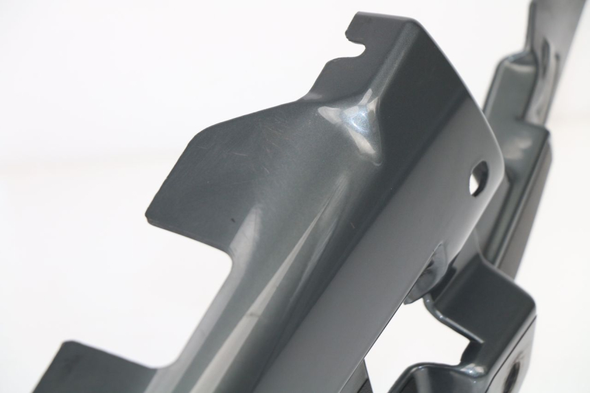 photo de VERKLEIDUNG HINTEN LINKS BMW R RT ABS 1150 (2000 - 2004)