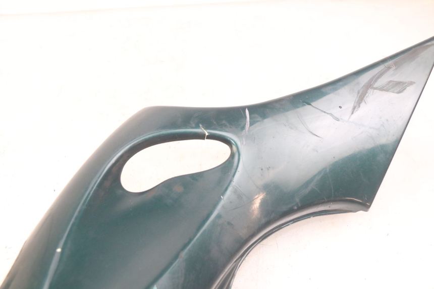 photo de LINKS HINTEN LINKS TRIUMPH SPRINT ST 955 (1999 - 2001)