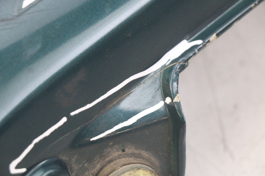 photo de LINKS HINTEN LINKS TRIUMPH SPRINT ST 955 (1999 - 2001)